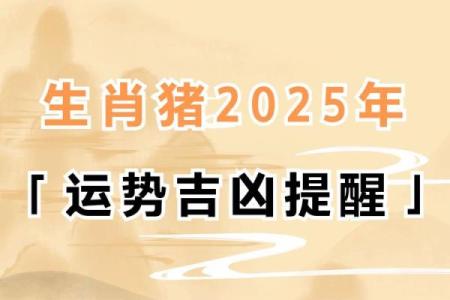 属猪女与属鼠男婚姻运势：适合成为伴侣吗