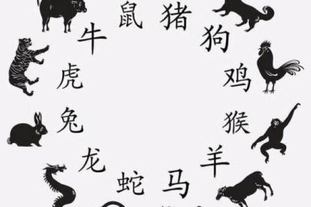 探究猴与兔的婚姻运势及相处之道