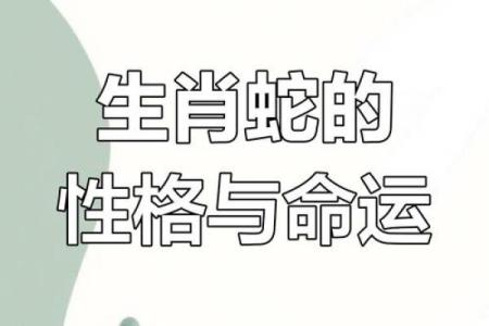 解读属蛇之人的命运与性格