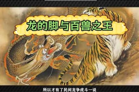 属虎与属龙的爱情：优点与难题并存的关系