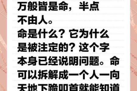 解读命理学：每个人命运背后的隐秘规律