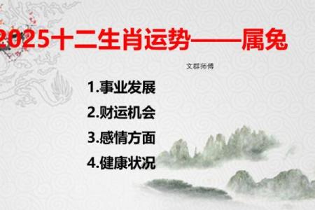 本命年属兔如何通过改变生活习惯提升运气