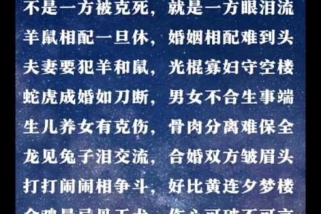 猪和鼠的配对：究竟是否合适？