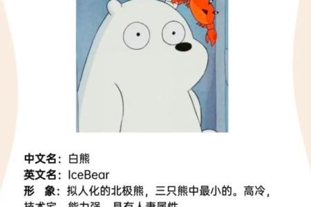 熊名字大全：给你的熊宠物取个特别的名字