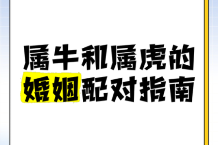 属牛女与属蛇男的婚姻匹配度如何