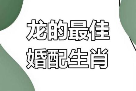 龙兔婚配的爱情与婚姻：是否能天作之合？