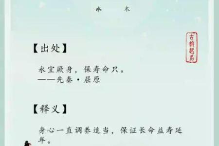 诗意名字的魅力与灵感探索