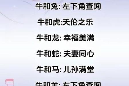 牛与狗能否成为理想搭配？探讨它们的性格与关系