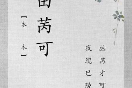 田姓女孩名字大全，给宝宝取个美丽的名字
