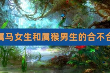 属猴男和属马女能否携手共度一生