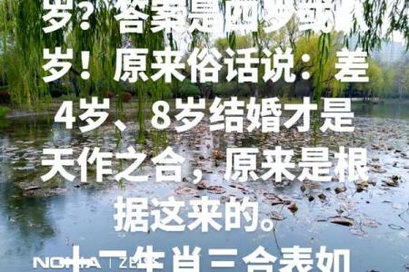 属马和属牛的婚姻幸福指数：真的是天作之合吗？