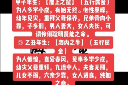 金脖金命的含义及其对人生的影响