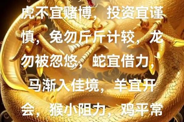本命年鼠男如何提高生活质量 本命年鼠男如何提高生活质量