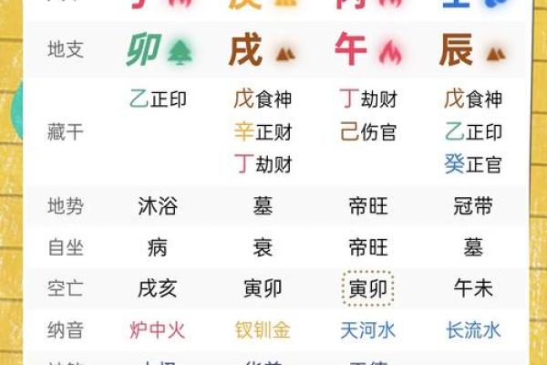 本命年属兔如何通过自我提升迎接新机遇 本命年属兔如何通过自我提升迎接新机遇