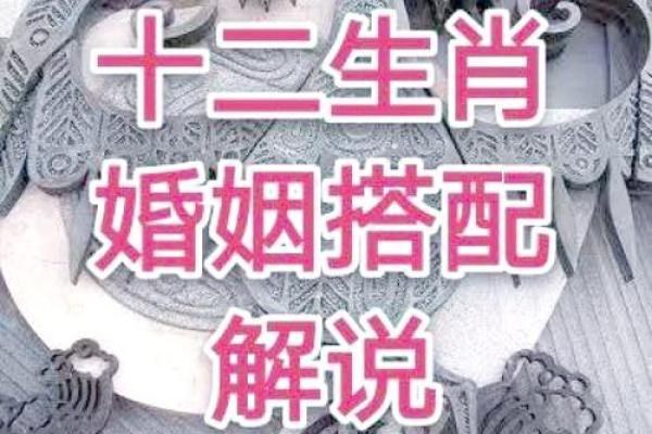 属相婚配指南:如何根据生肖选择婚姻伴侣 属相婚配指南:如何根据生肖选择婚姻伴侣