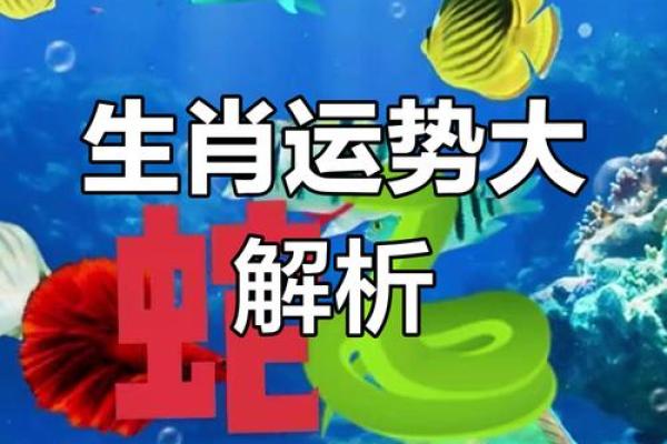 火命生肖揭秘 哪些动物与你的命运息息相关 火命生肖揭秘 哪些动物与你的命运息息相关