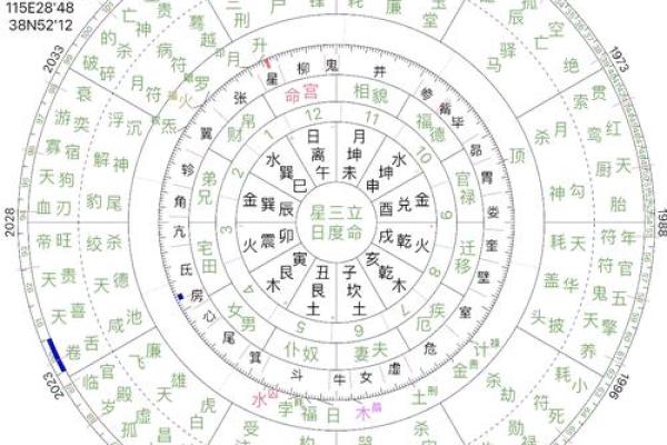 甲山命的命理运势解析与发展方向 甲山命的命理运势解析与发展方向