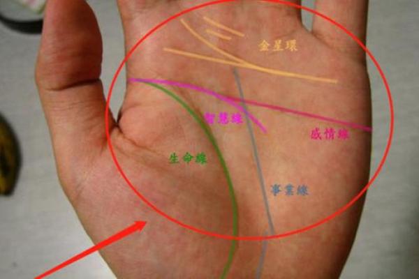 解读劳碌命手相的深层含义 解读劳碌命手相的深层含义