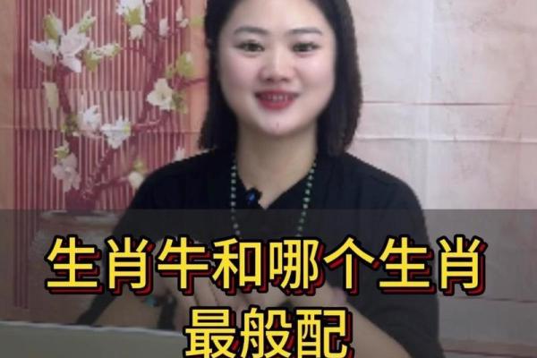 鼠牛配对是否和谐？揭示生肖间的缘分与挑战