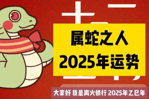 属蛇人本命年中如何克服职场困境 属蛇人本命年中如何克服职场困境
