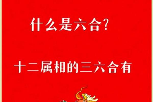 属兔与属龙的配对分析：是否天作之合？