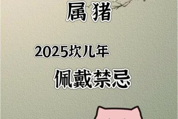 属猪本命年如何寻求事业突破