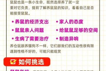 属鼠人本命年如何克服感情困扰
