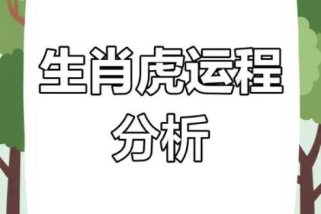 属虎人在本命年如何应对情感上的波动