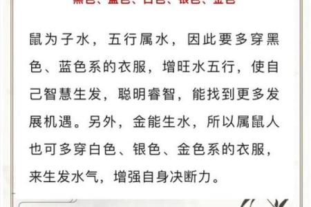 揭开金鼠命的命理秘密