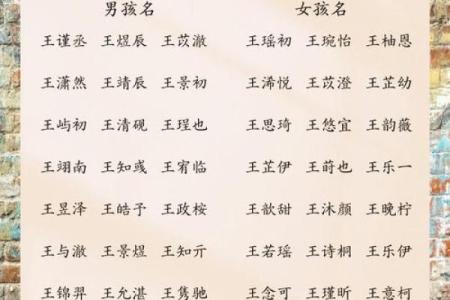 王姓男孩起名推荐：给孩子一个有意义的名字