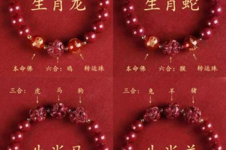 本命年鸡男的人际关系会有怎样的变化