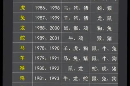 生肖属鼠和属狗是否适合在一起？