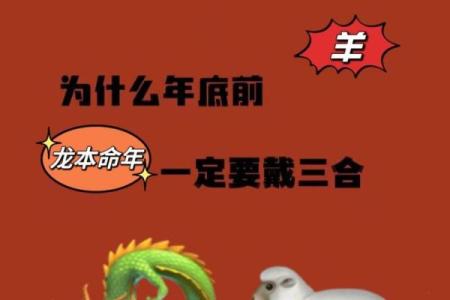 属龙男和属羊女的婚姻配对情况如何
