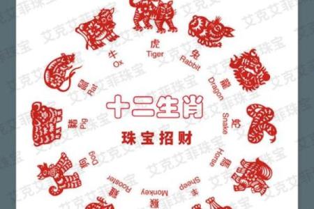 本命年属兔如何通过自我提升迎接新机遇