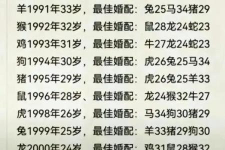 龙男兔女配对的优缺点分析
