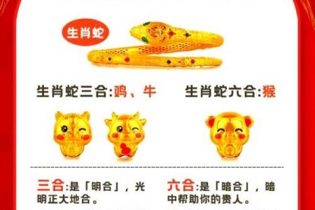 生肖鸡蛇情侣相处之道