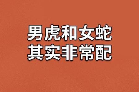 属猴男和属蛇女在感情中的相互吸引力