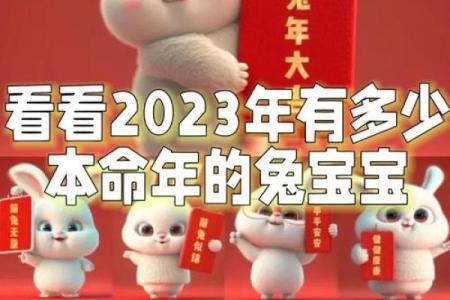 本命年兔男如何面对突如其来的变故