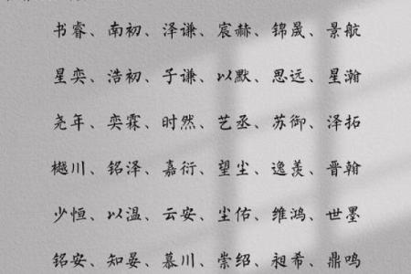 如何给男孩取一个既大气又有意义的名字