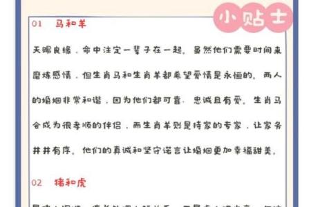 属相婚配指南：如何根据生肖选择婚姻伴侣
