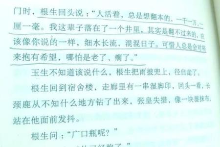 解密僧道命：佛教与道教的命运交织