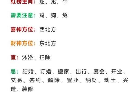本命年虎女的心灵成长与情感突破