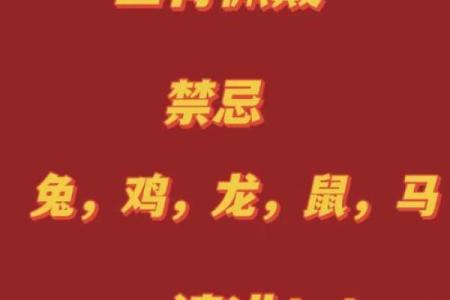 猪男本命年如何避免轻率的决策