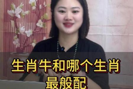 鼠牛配对是否和谐？揭示生肖间的缘分与挑战