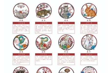 狗男本命年如何发展事业和保持稳定