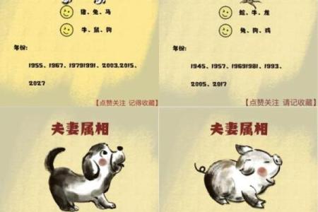 属牛与属龙是否为最佳情侣组合？揭秘真相