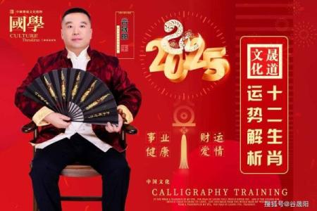 属猪本命年如何寻求事业突破