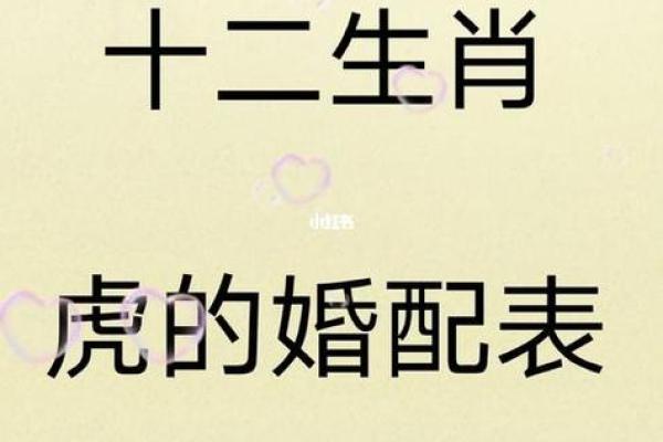 男虎女鼠相配吗 从性格与命理角度看两者的合适度