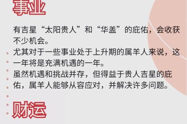 本命年属羊人如何应对压力与挑战 本命年属羊人如何应对压力与挑战