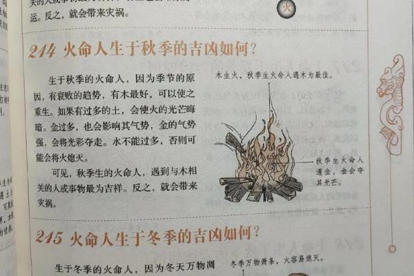 火命的命理特征与性格解析